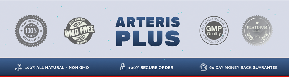 Arteris Plus uses