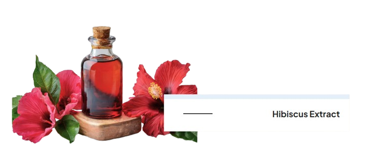 Hibiscus_Extract-