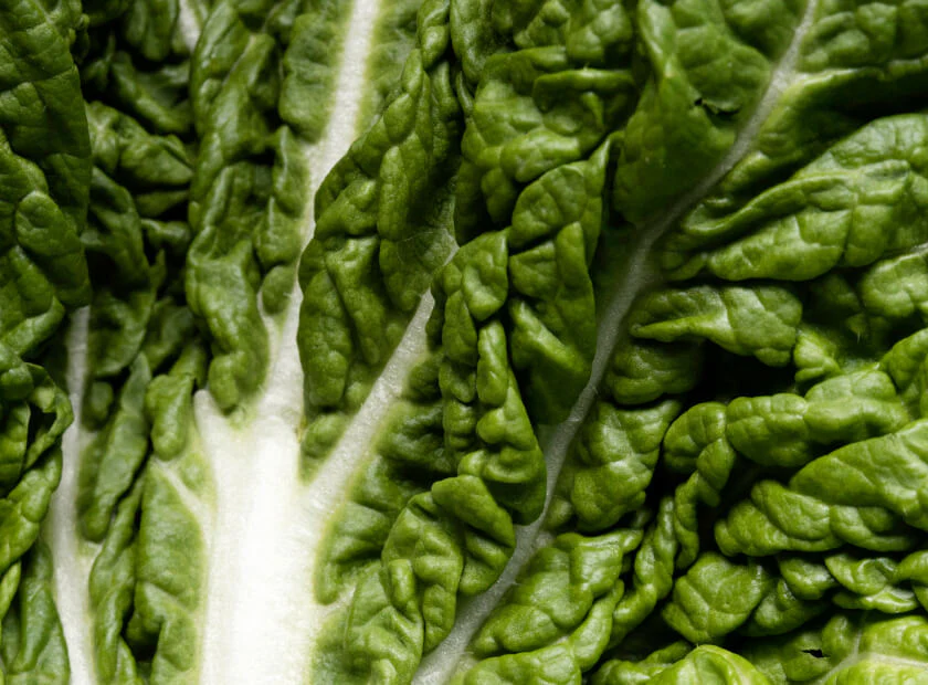 Lutein and Zeaxanthin